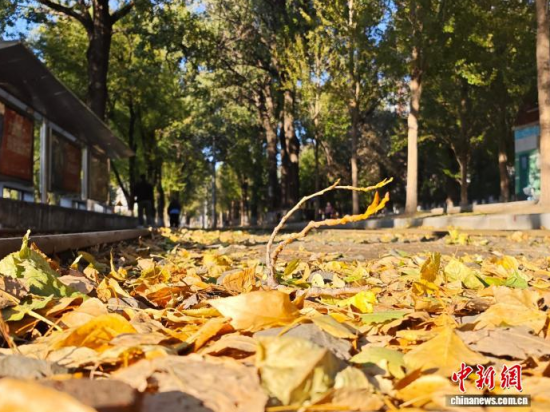 �S��54·��܉�܇�ؾ��h(hu��n)��������������߅�Lò�����������S���~䁝M·�档���� ���z