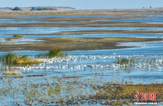 10��16��������ĪĪ����Ҽ���Ȼ���o�^(q��)��(n��i)�������ڑ�ˮ��(�o�˙C��Ƭ)�w��� �z