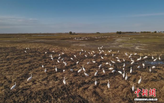 10��16�գ��ڼ���ĪĪ����Ҽ���Ȼ���o�^(q��)��(n��i)���Q����Ϣ��(�o�˙C��Ƭ)�w��� �z