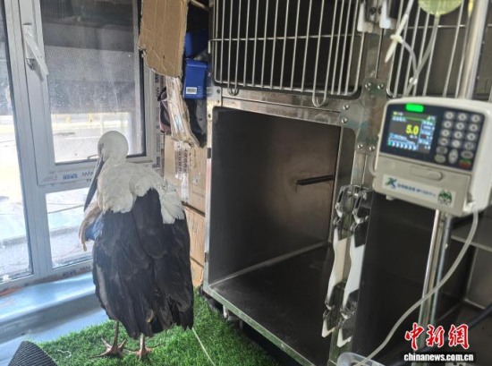 �܂��Ė|�����X���ڽ���ݔҺ�ί�����ʯ���� �z