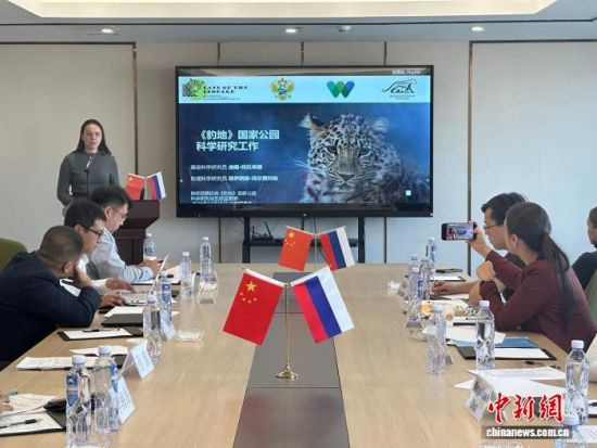 ���_˹���ҷ������o�|������(j��ng)�������� �z