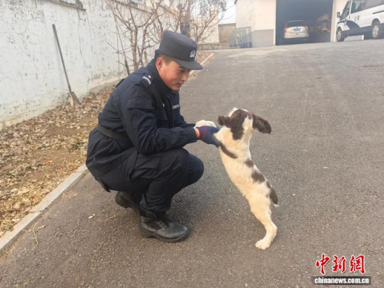 ���Ҳ������c�[�����B(y��ng)�H�ܶ�����ʯ���� �z