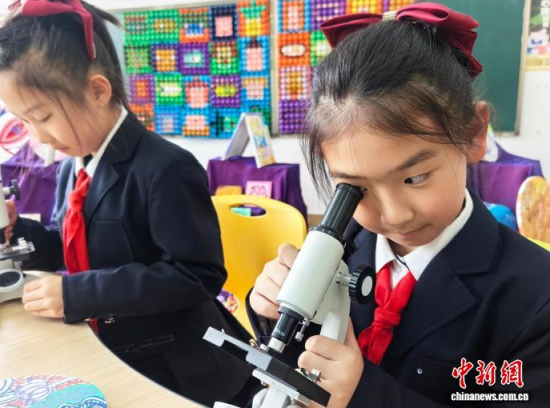 �W(xu��)��ͨ�^�@΢�R�^���G�~��(x��)������ʯ���� �z