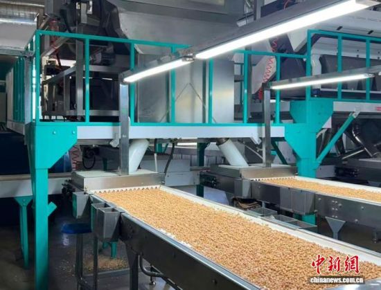 �������a(ch��n)��(xi��n)��(�L(zh��ng)�����P(gu��n)���D)