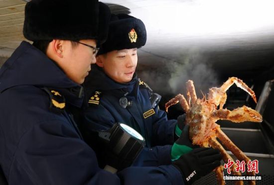 �L�����P(gu��n)���٬q�����P(gu��n)�P(gu��n)�T���M(j��n)�ڵ���з�_չ���(y��n)�������̽��V �z