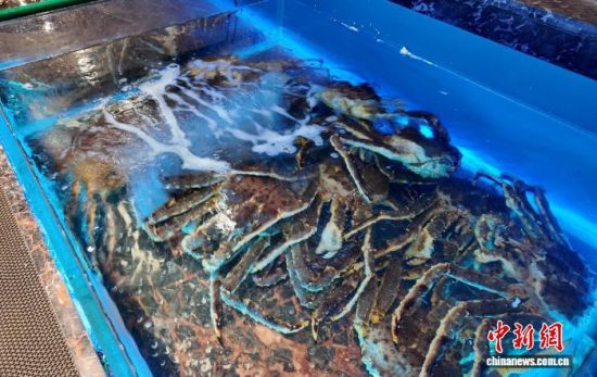 ���B(y��ng)����ĵ���з����߅��ί������ ���D