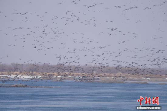 �B(ni��o)�(l��i)�^(gu��)�������Ժ��������� �z