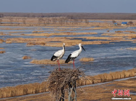 3��16���������(zh��n)�l��һ���|�����X��ĪĪ���صĳ����������������� �z