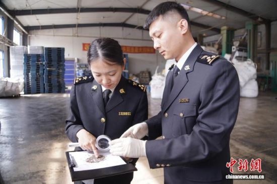 �L��ɽ���P(gu��n)�P(gu��n)�T�_չ�����K�Ѳ�����L�����P(gu��n)���D